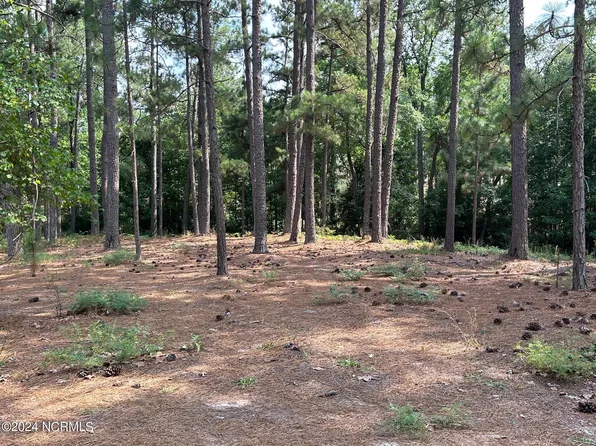 101 Schever Rd Road, West End, NC 27376