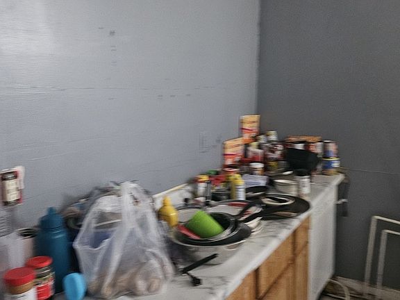 5th image of 1010 N Ridgeway Ave