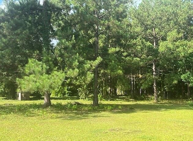 2nd image of 0 County Road 4067