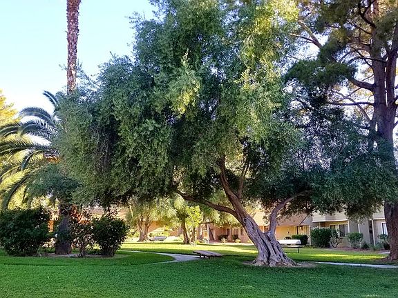3rd image of 2553 Paradise Village Way