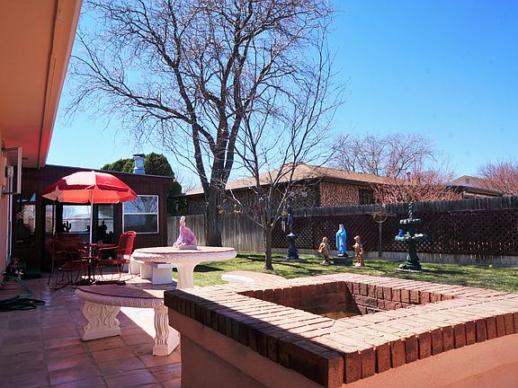 Barbecue Pit in Back Yard