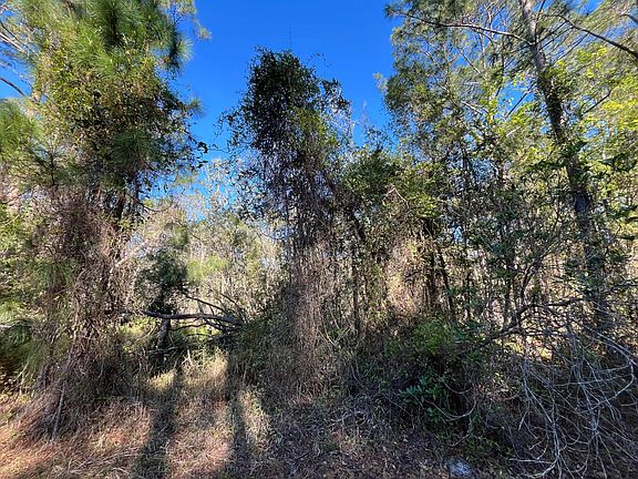 5th image of 208 SE 3rd Street