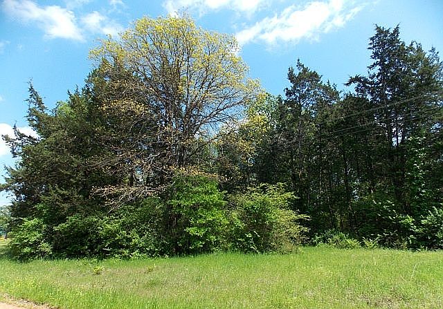 1st image of CR 4249