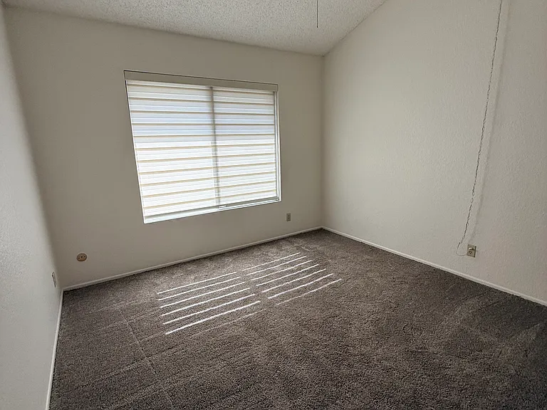 1016 Whitewater Dr — Photo 19