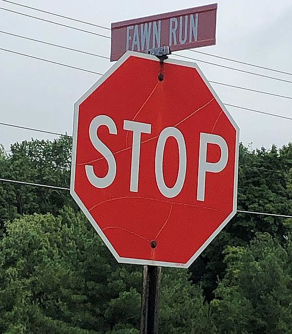 Welcome to Fawn Run