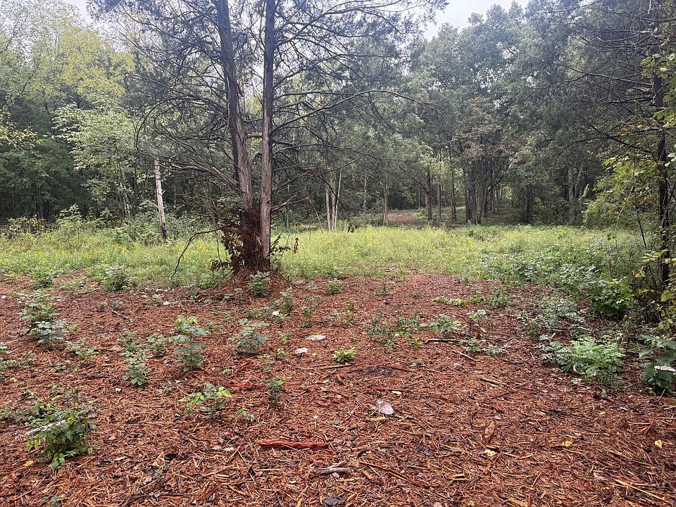 2nd image of 0 Flat Rock Rd