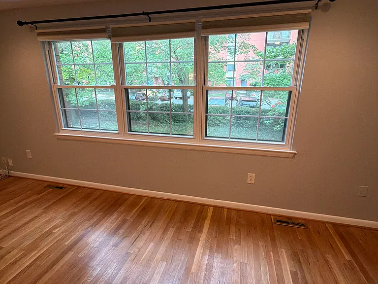 19 Theo Ln — Photo 6