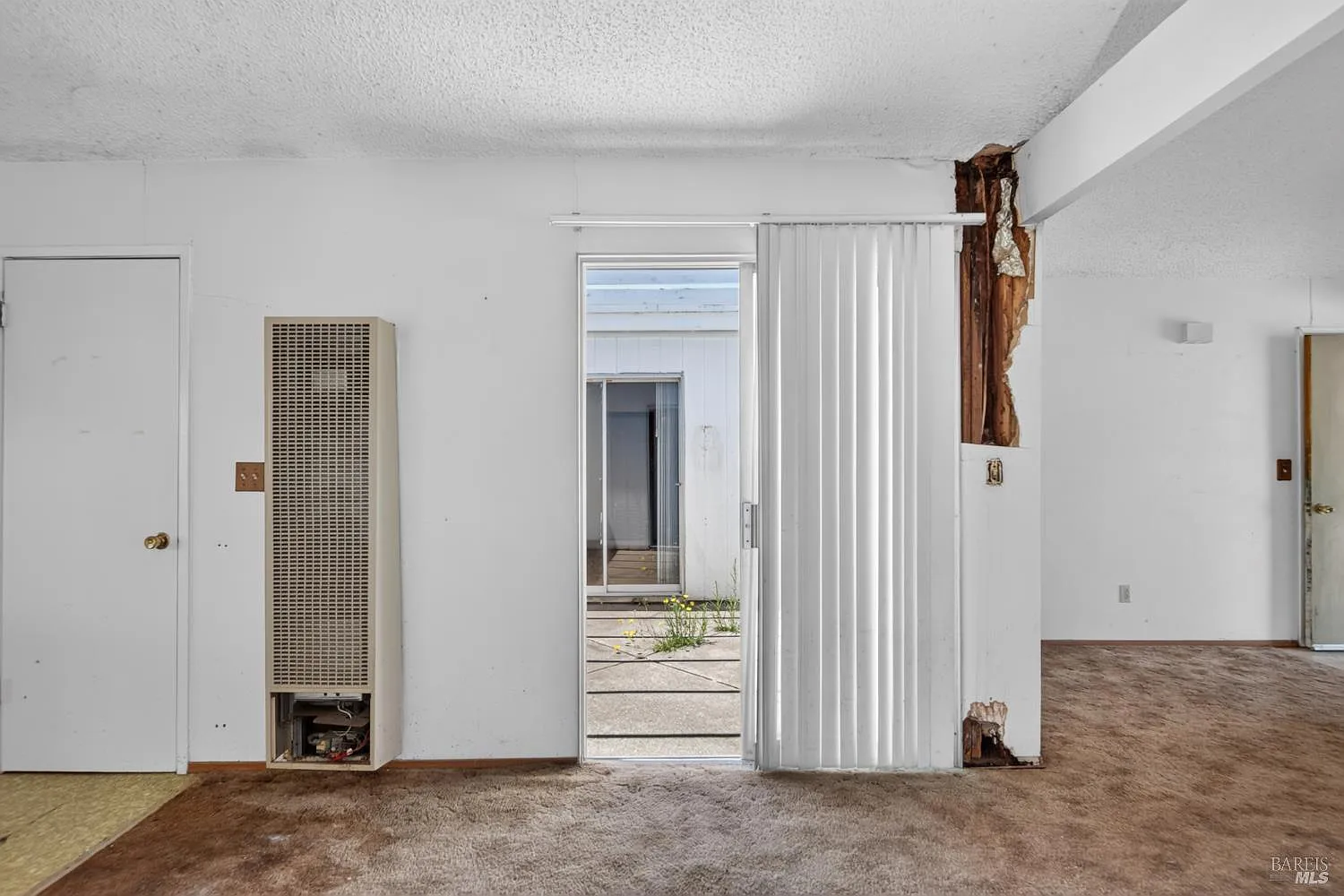 1079 Camino Coronado - Photo 12
