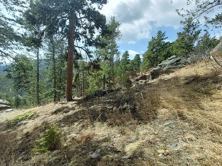 1096 Aspen Dr — Photo 2