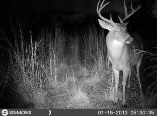 690 Pebble Rd, Kinston, AL 36453