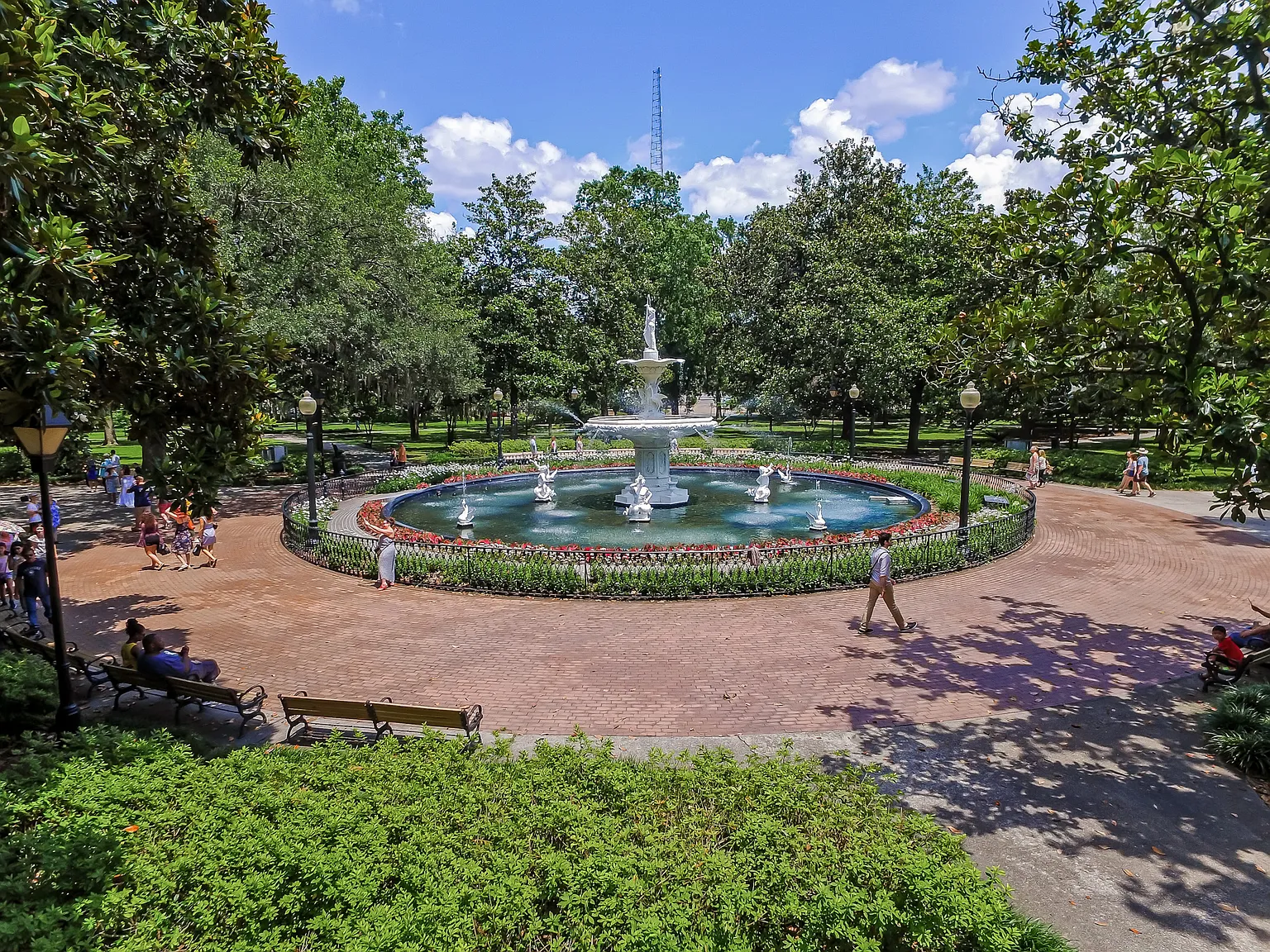 Savannah — Photo 2