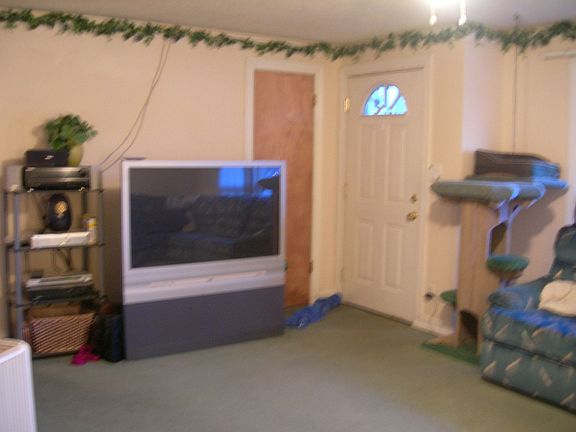 Livingroom veiw from couch