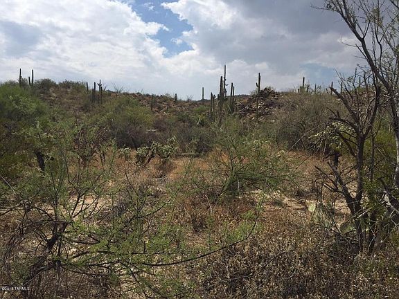 3rd image of 1097 W Tortolita Mountain Cir