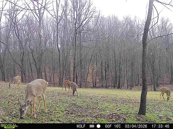 5th image of 33819 Wolf Hill Rd