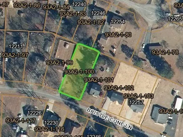 0 Bristle Cone Ln Lot 100, Ruther Glen, VA 22546