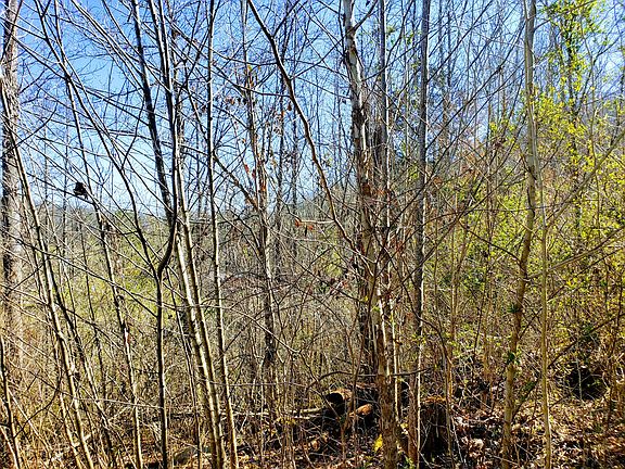 5th image of 0 Bristol Hwy