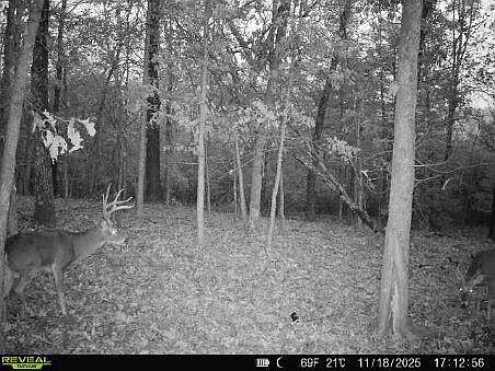 1st image of 85-Ac Burmingham Road