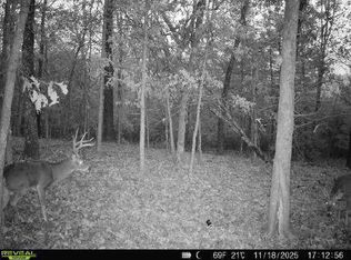 85AC Burmingham Rd, Forsyth, MO 65653