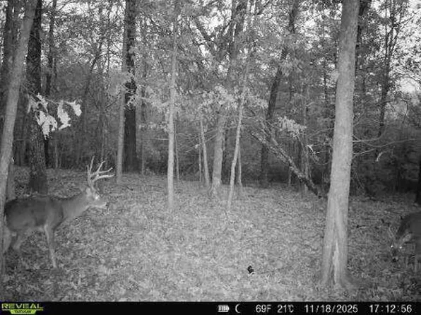 85-Ac Burmingham Road, Forsyth, MO 65653