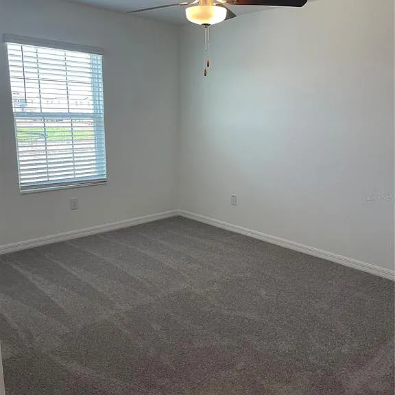 32077 Powderpuff Mimosa Dr — Photo 25