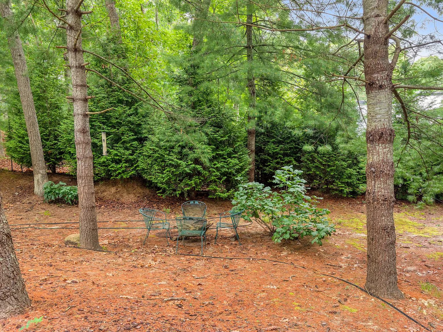 Private 3 Bedroom NW East Hampton Rental July-LD — Photo 3