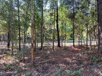 6075 Forrest H Necaise Rd Lot 4, Kiln, MS, 39556