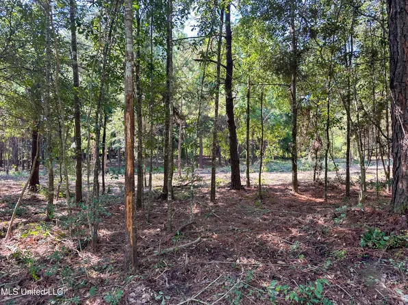 6075 Forrest H Necaise Rd Lot 4, Kiln, MS 39556