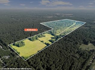 0 Nash Rd, Harleton, TX 75651