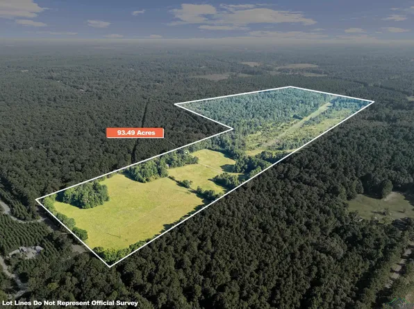 0 Nash Rd, Harleton, TX 75651