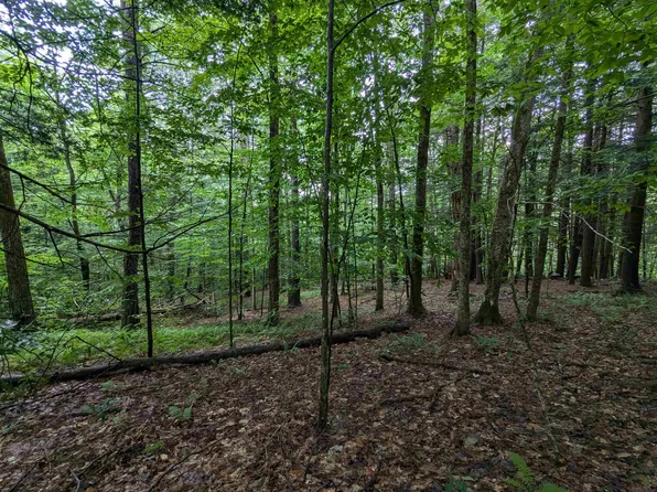 0 Dover Road, Newfane, VT 05351