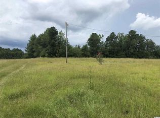 1118 E Lawrimore Rd, Hemingway, SC 29554