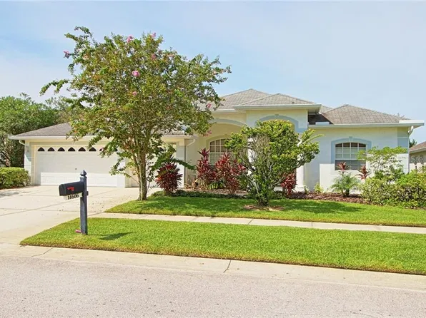 14606 Coral Berry Dr, Tampa, FL 33626