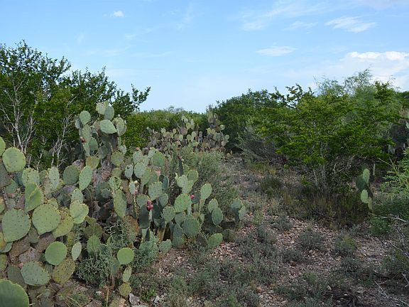 2nd image of 92 Los Centenarios Rd