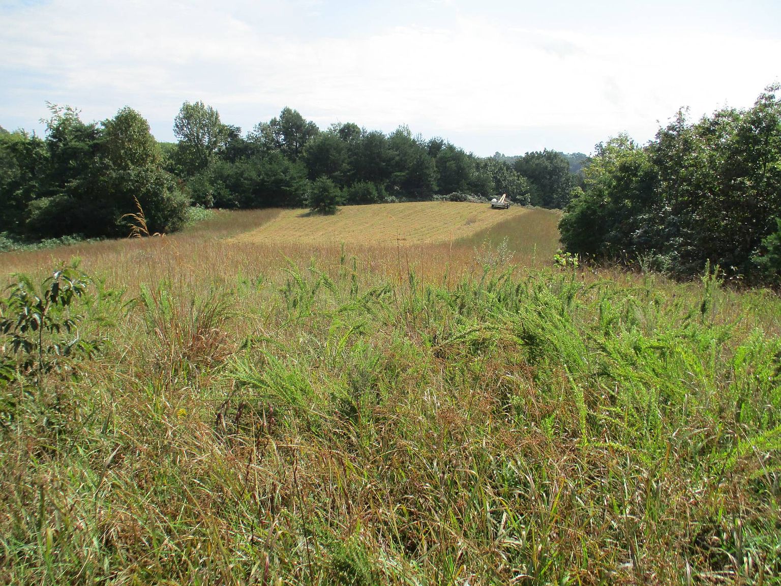 132AAA Faith Ridge Dr, Big Bend, WV 26136 Zillow