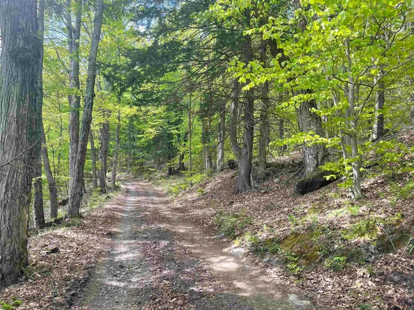 59 Goodwin Hill Road, Tunbridge, VT 05077