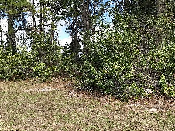 2nd image of 246 White Marsh Ln