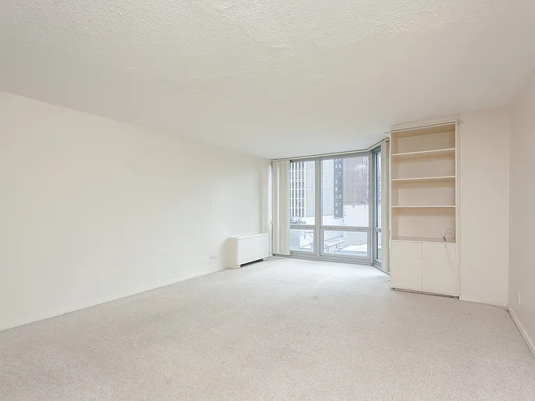 21 W Goethe St #6J — Photo 2