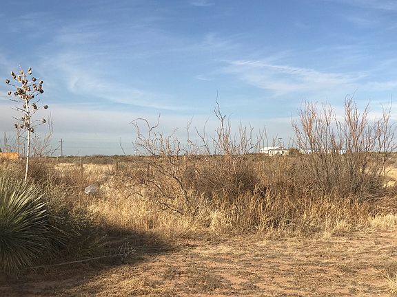 4th image of 316 Mesilla View Dr