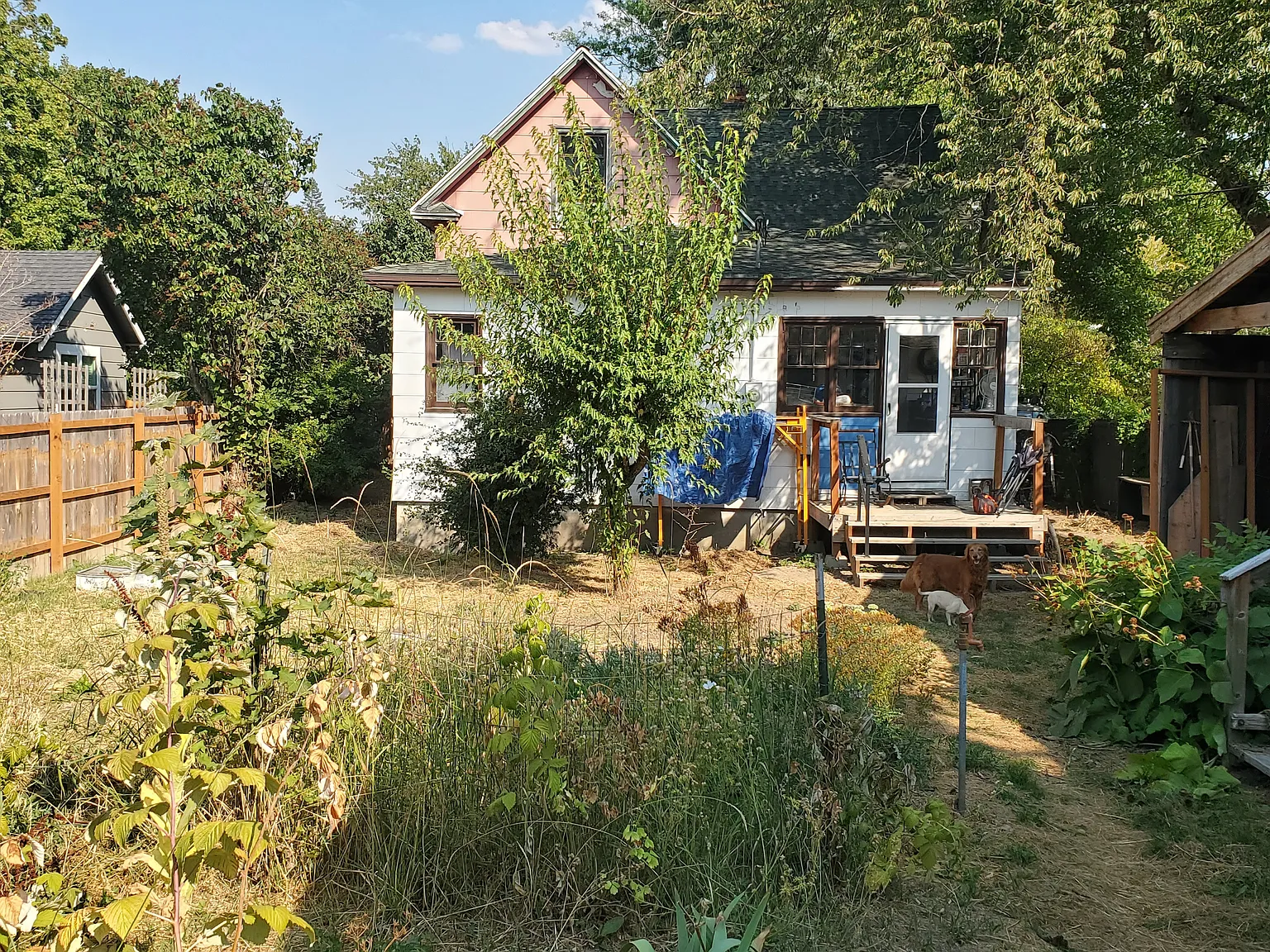 2 bed, 550 sqft, $1,400 — Photo 4
