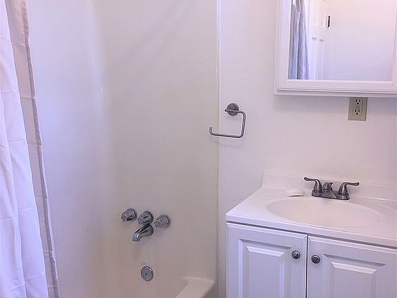 Large bathtub with shower