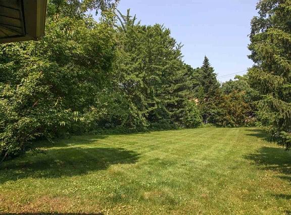5th image of 3428 Viburnum Dr