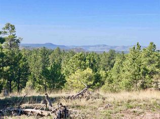 N Star Dr #1, Custer, SD 57730