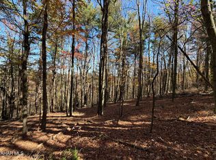 Clites Rd, Buffalo Mills, PA 15534