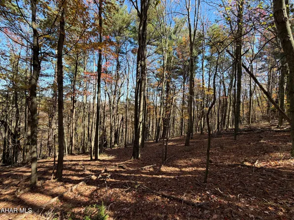 Clites Rd, Buffalo Mills, PA 15534