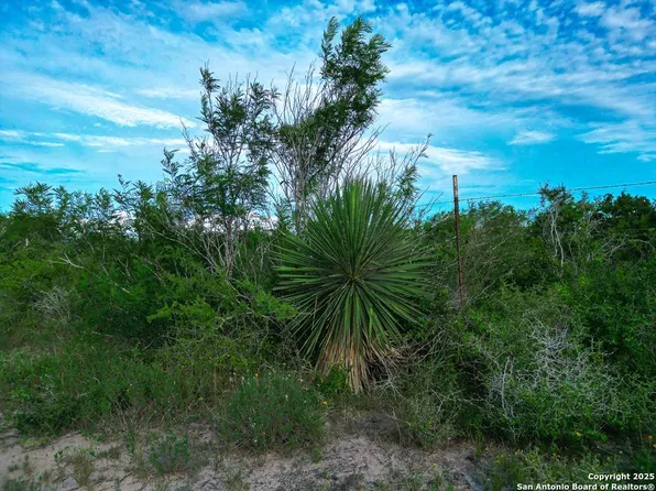 8986 FM 673, Mineral 78125