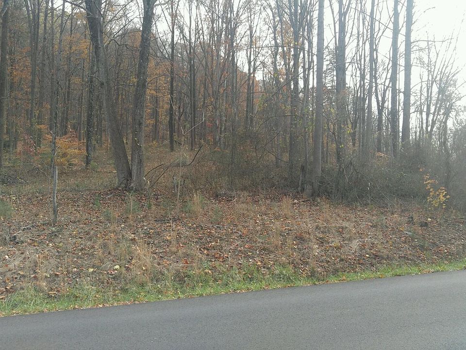 2nd image of 0 Chestnut Mountain Dr
