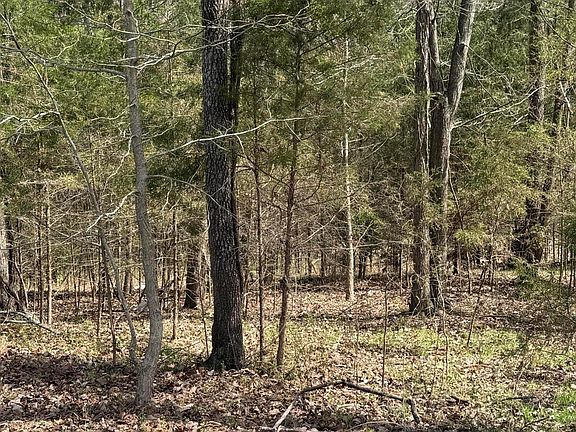5th image of 27 Walnut Bend Dr Lot 27R