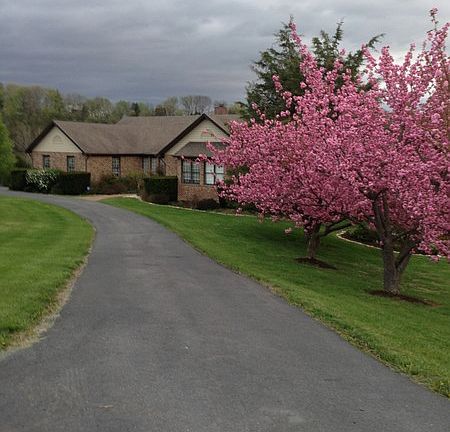 All seasons beauty
						:
						From Cherry trees to Pears, Magnolia and flowers, gardens grace the home