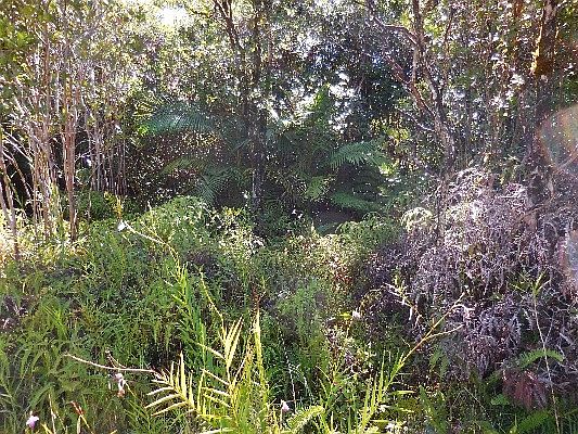 4th image of Road 5 Lot 4061