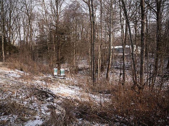 3rd image of 5235` S Wellington Blvd